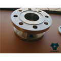 Pipe Fitting Stainless Steel Weld Neck RF Flange